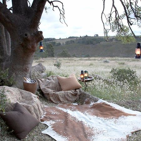 Gondwana Game Reserve Herbertsdale Екстер'єр фото