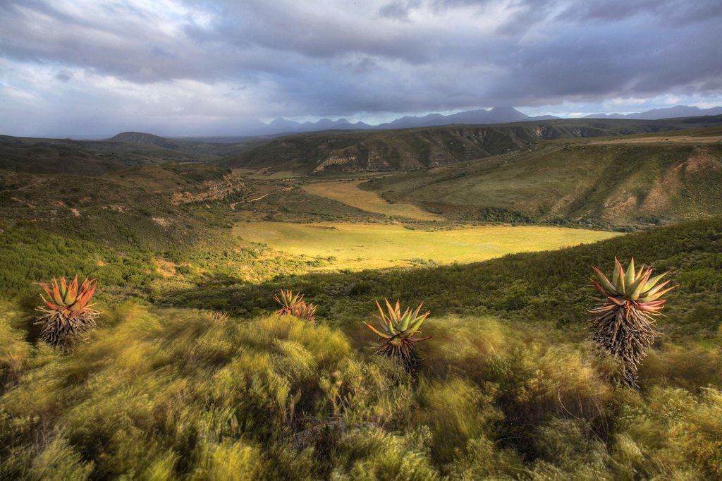 Gondwana Game Reserve Herbertsdale Екстер'єр фото