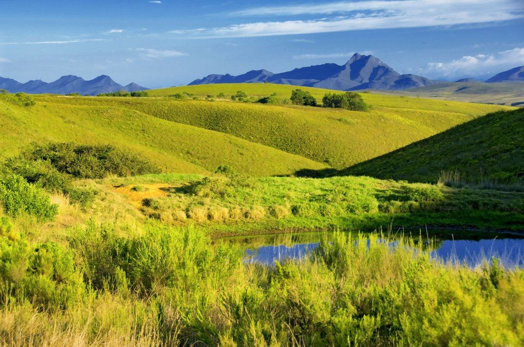 Gondwana Game Reserve Herbertsdale Екстер'єр фото
