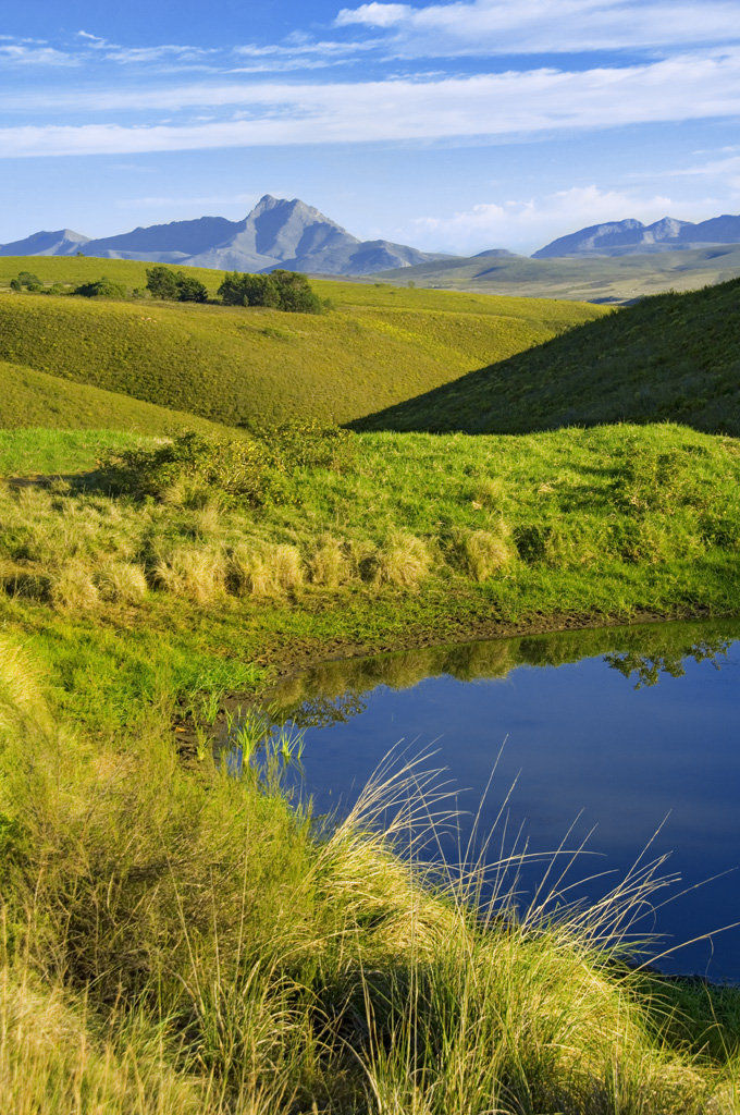 Gondwana Game Reserve Herbertsdale Екстер'єр фото