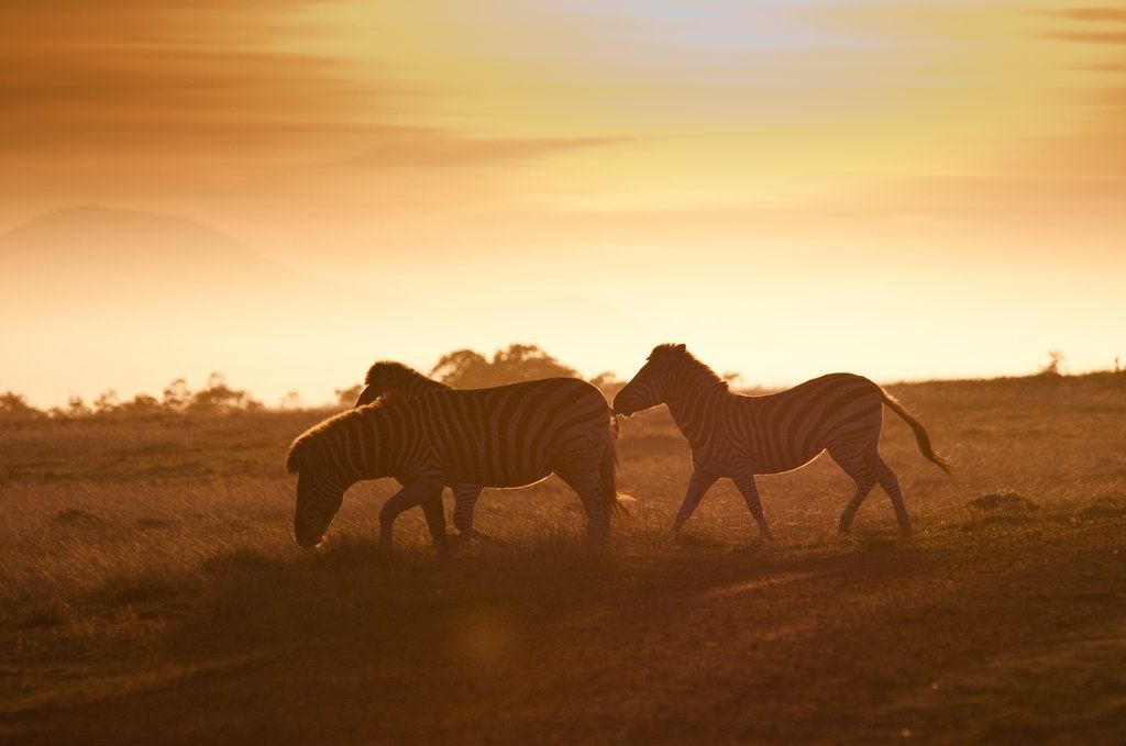 Gondwana Game Reserve Herbertsdale Екстер'єр фото