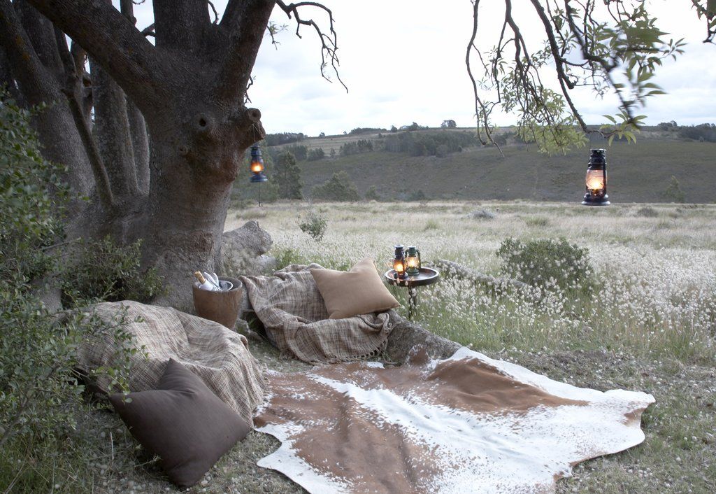 Gondwana Game Reserve Herbertsdale Екстер'єр фото