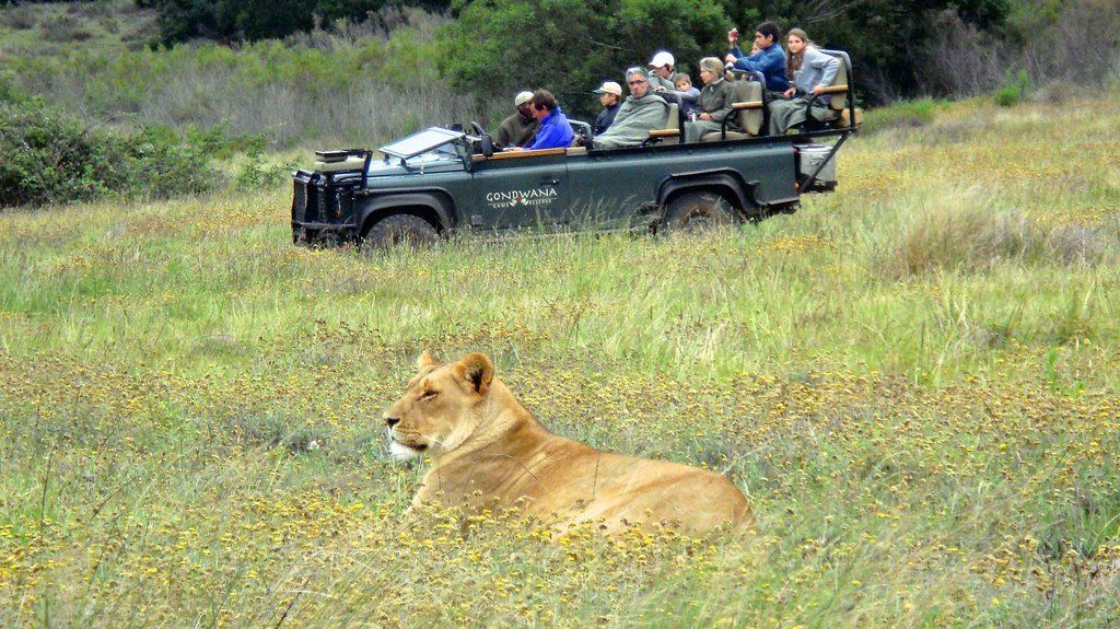 Gondwana Game Reserve Herbertsdale Екстер'єр фото